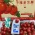 广东-电白千禧圣女果原产地直供【精品】平台团购批发礼盒装