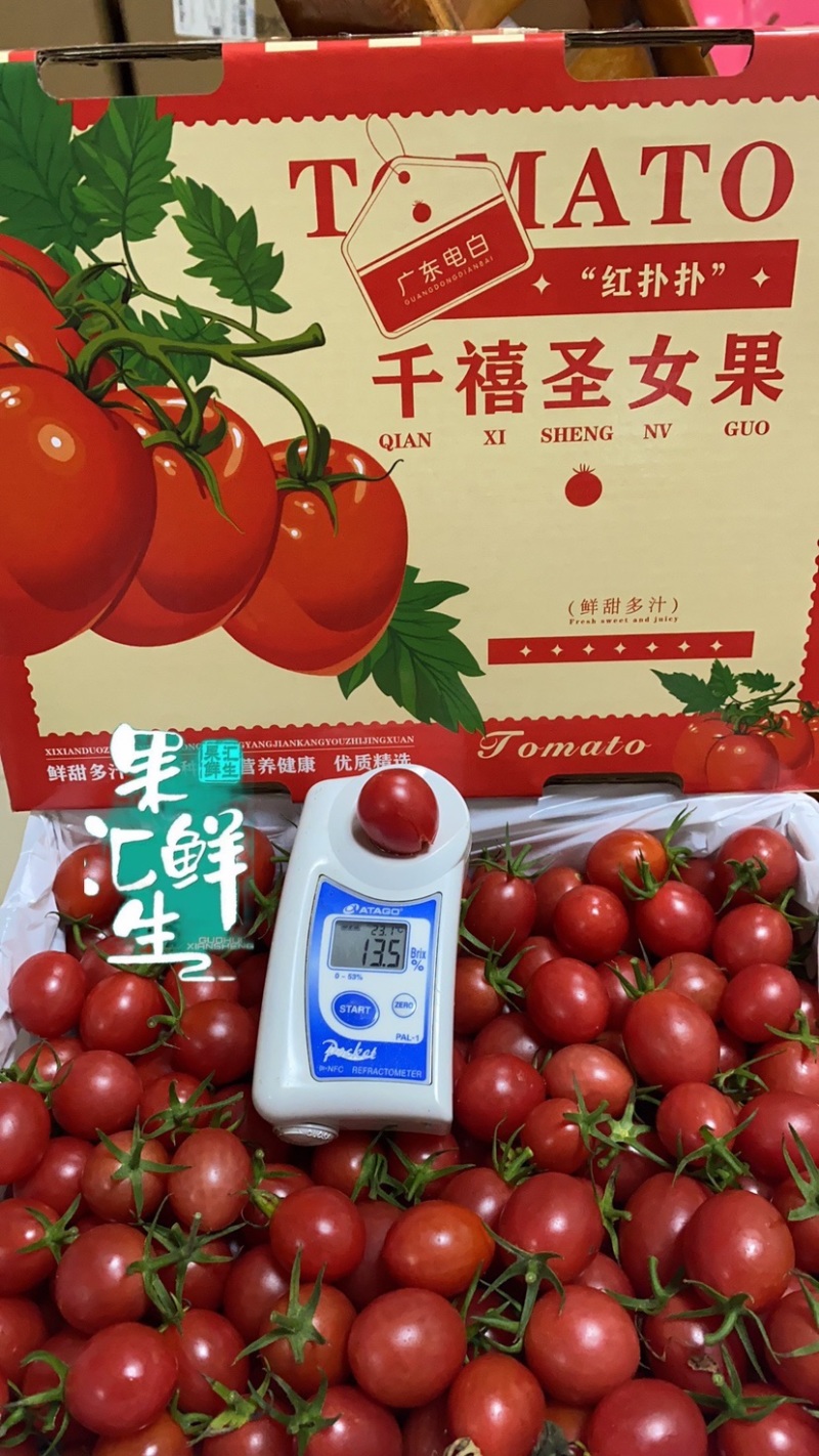 广东-电白千禧圣女果原产地直供【精品】平台团购批发礼盒装