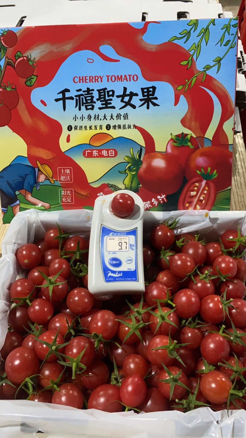 广东-电白千禧圣女果原产地直供【精品】平台团购批发礼盒装