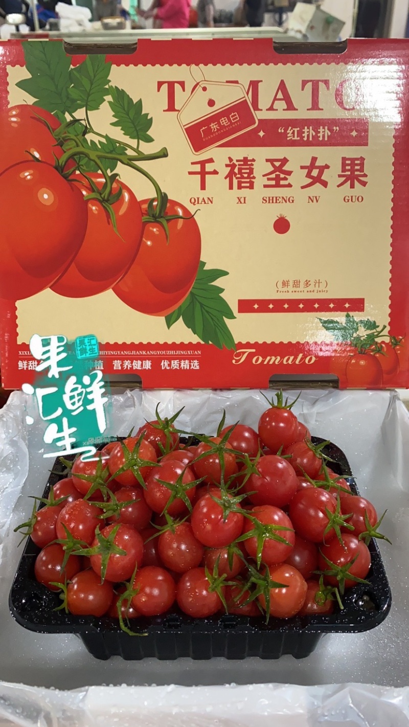 广东-电白千禧圣女果原产地直供【精品】平台团购批发礼盒装