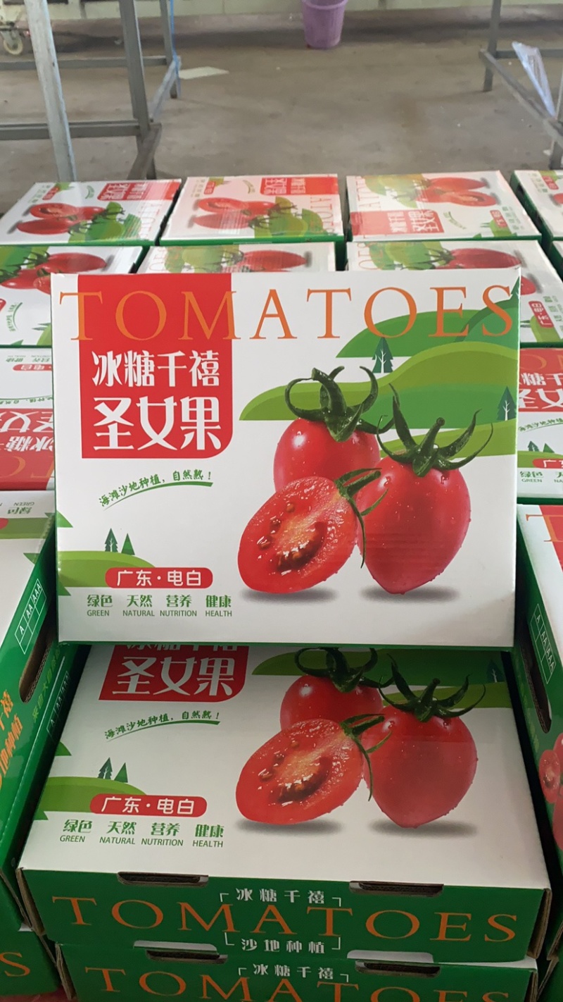 广东-电白千禧圣女果原产地直供【精品】平台团购批发礼盒装