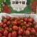 广东-电白千禧圣女果原产地直供【精品】平台团购批发礼盒装