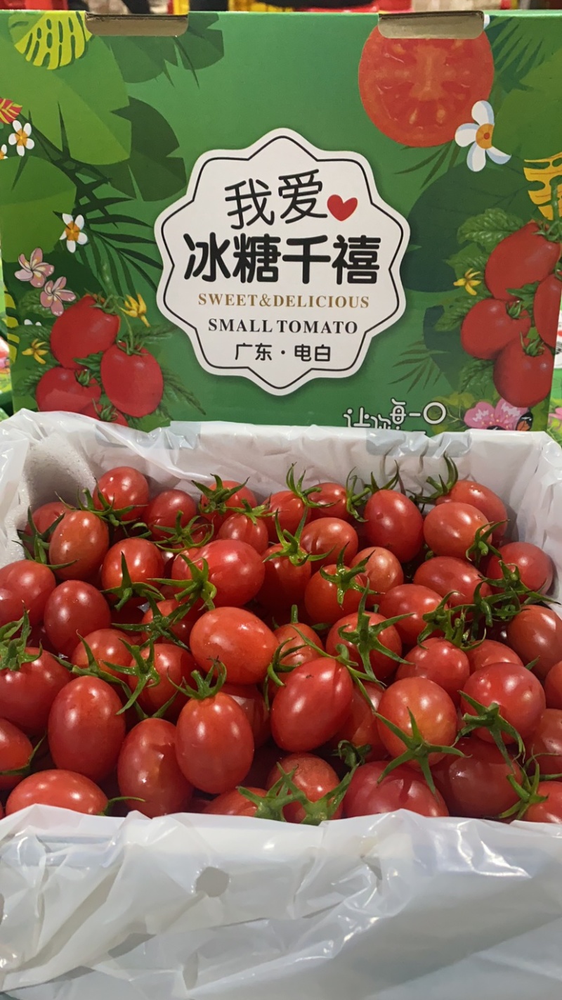 广东-电白千禧圣女果原产地直供【精品】平台团购批发礼盒装