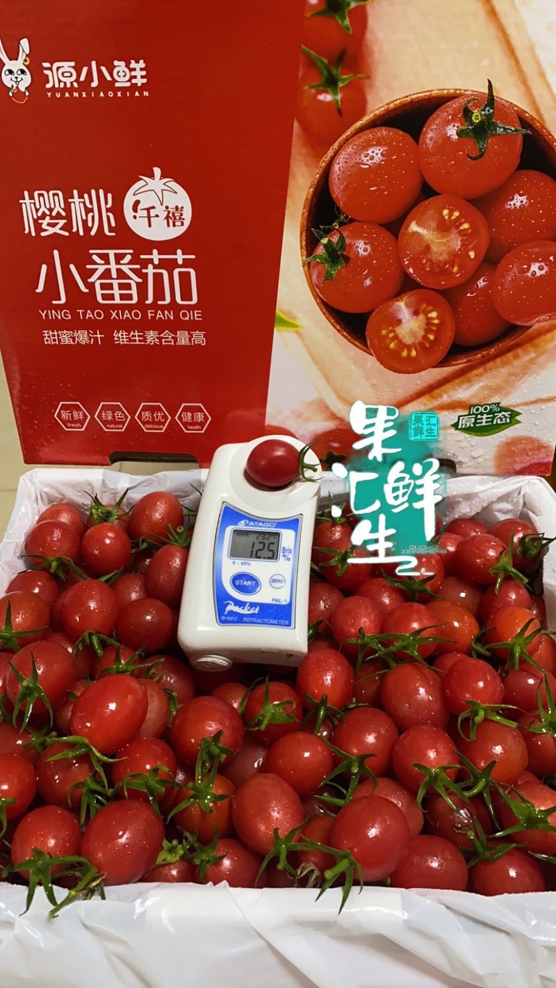 广东-电白千禧圣女果原产地直供【精品】平台团购批发礼盒装