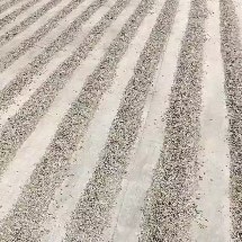 东营鹌鹑粪大量供应