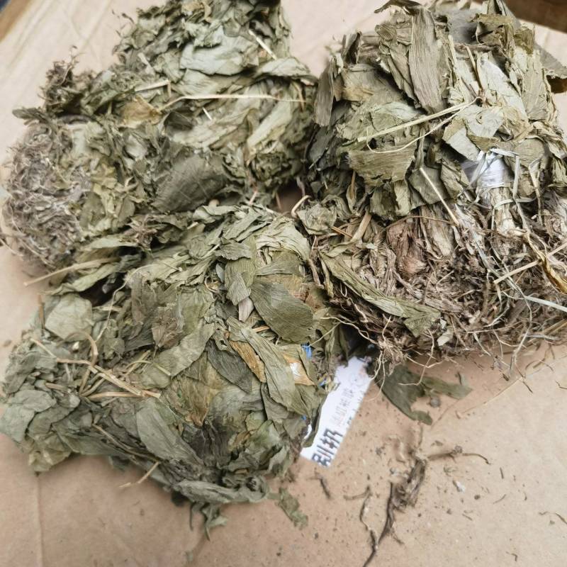 干见血清小叶货