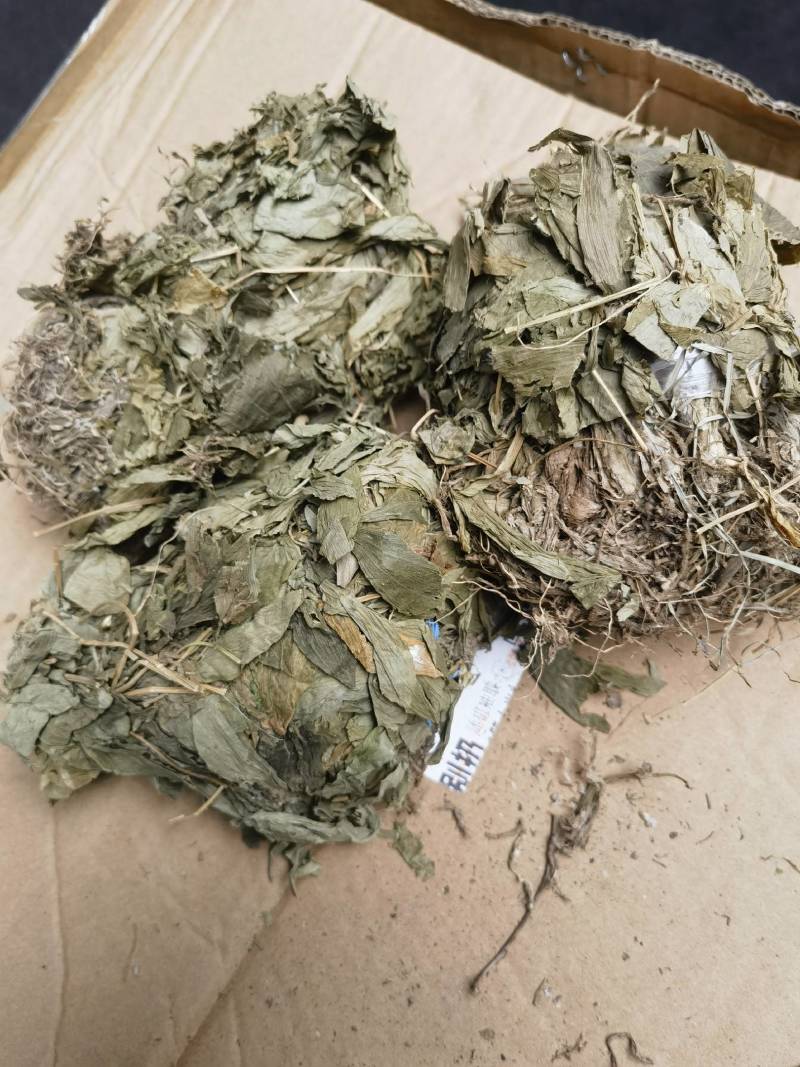 干见血清小叶货
