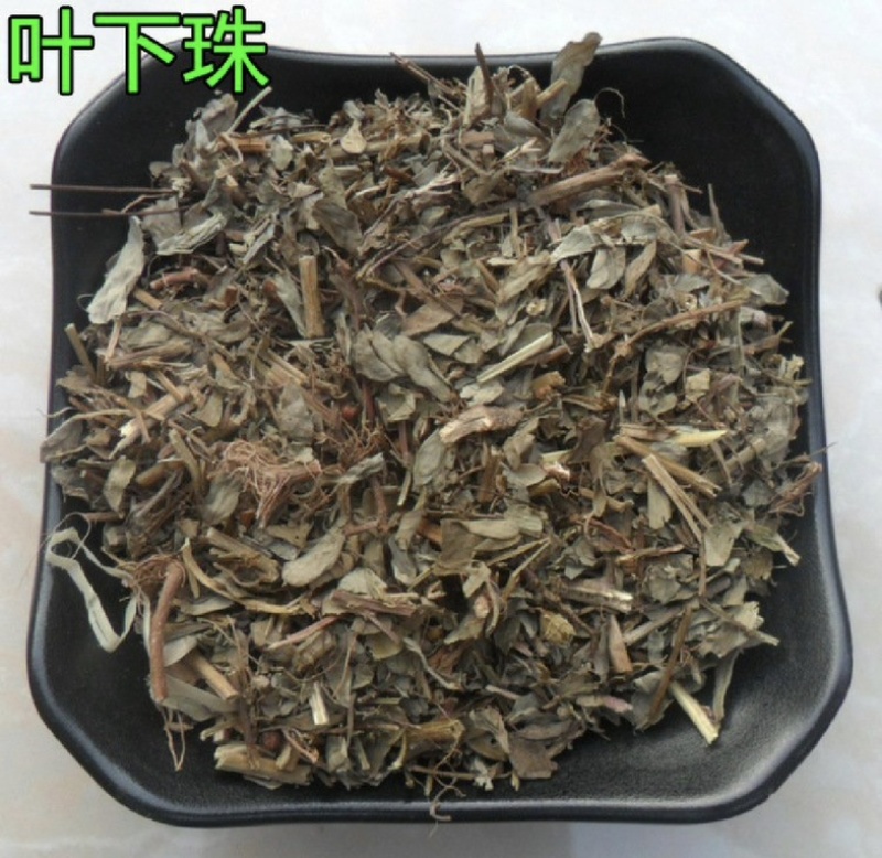 叶下珠振兴药材批发量大从优一站式采购