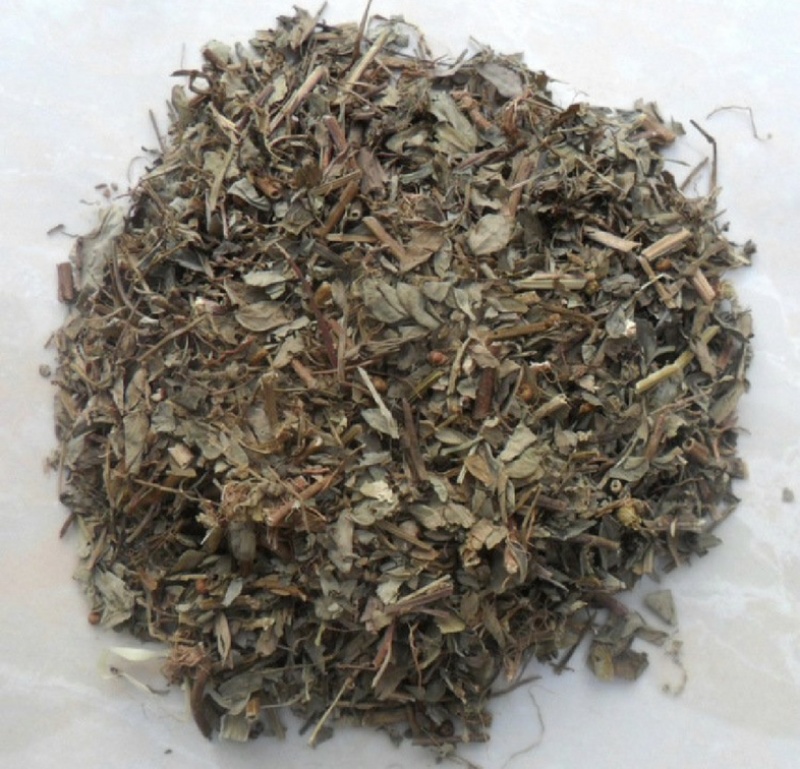 叶下珠振兴药材批发量大从优一站式采购