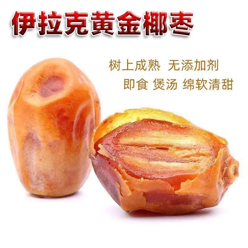 伊拉克黄椰枣（有量）量大可优惠