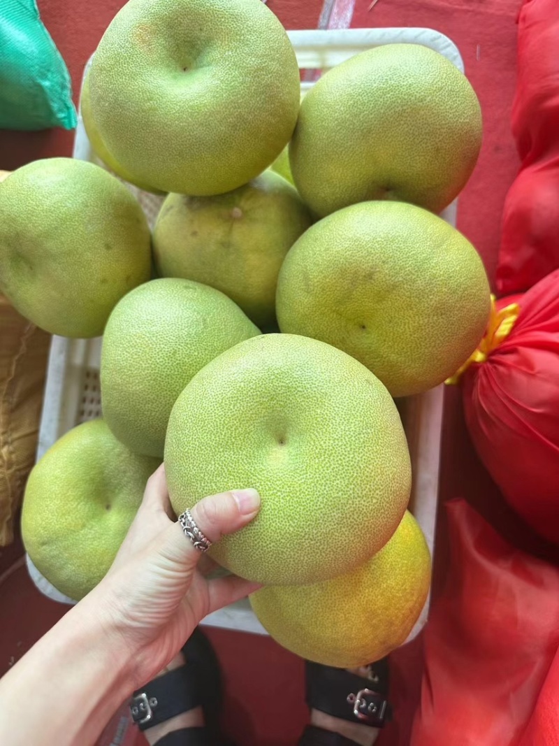 度尾文旦柚，只做精品果