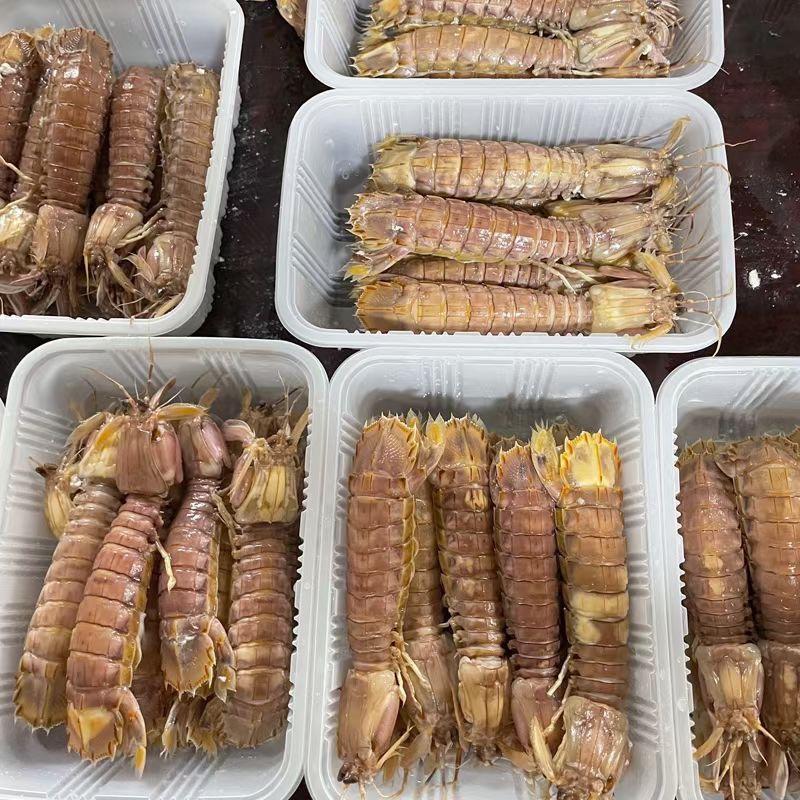 熟冻皮皮虾，膏虾，虾婆，虾公，虾爬子，带膏虾姑