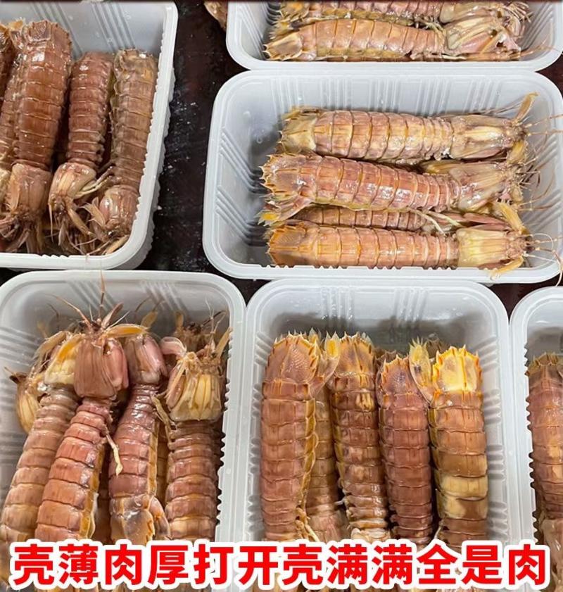 熟冻皮皮虾，膏虾，虾婆，虾公，虾爬子，带膏虾姑
