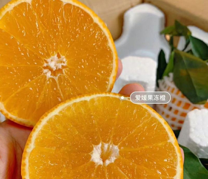 【实力】精品爱媛果冻橙大量上市口感纯甜可视频看货供全