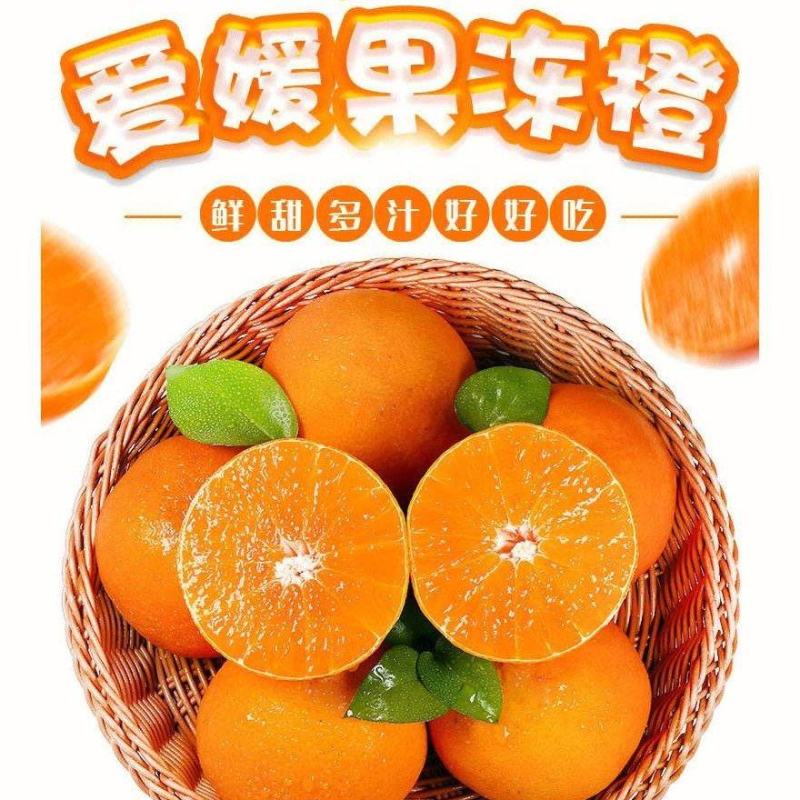 【实力】精品爱媛果冻橙大量上市口感纯甜可视频看货供全