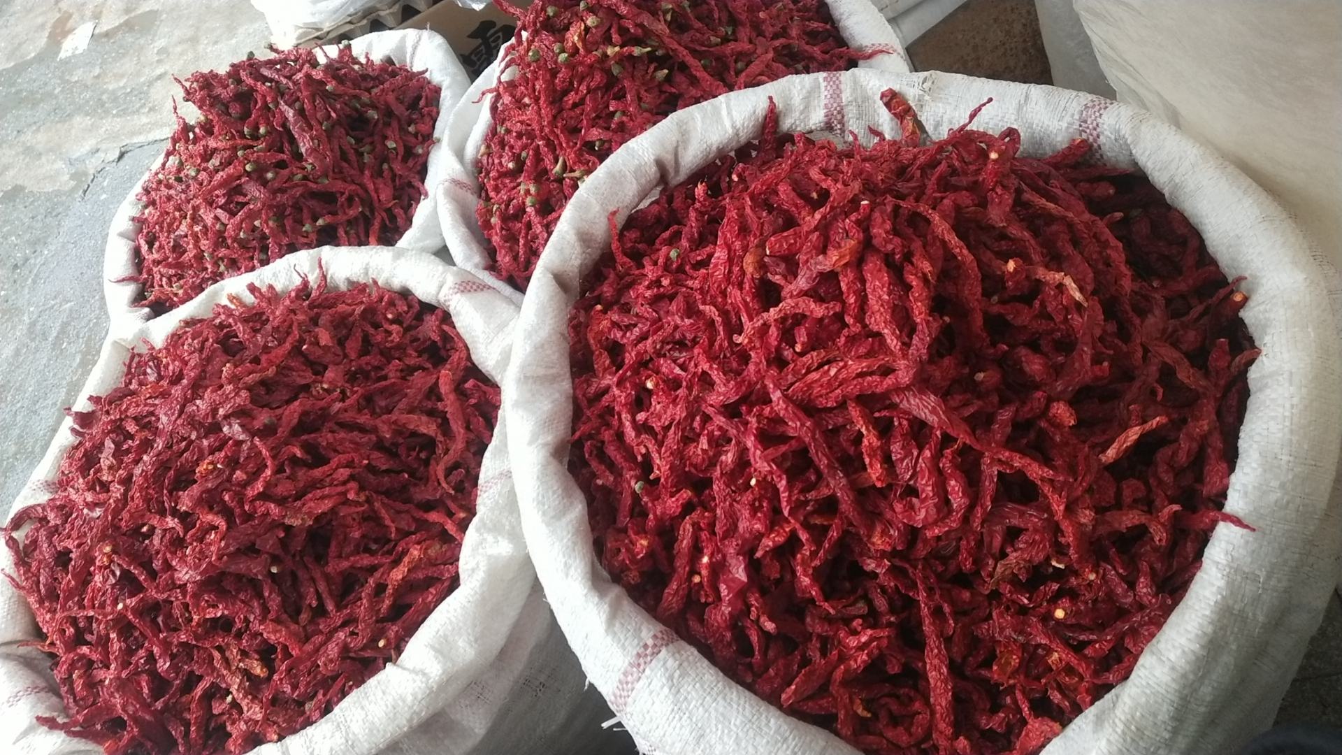现代化工厂包装二荆条干辣椒