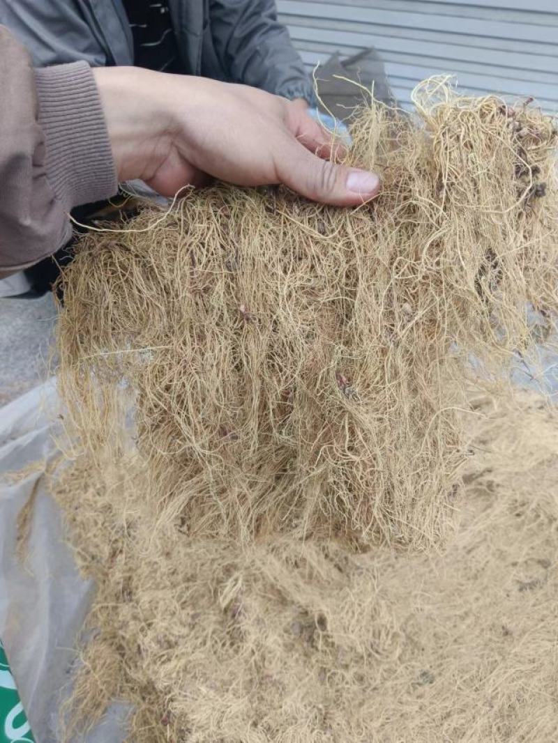 细辛，水洗辽细辛，干度新货质量保证实拍现货24小时内发货