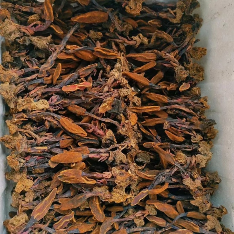 回春草，颜色好，产地直销，量大议价