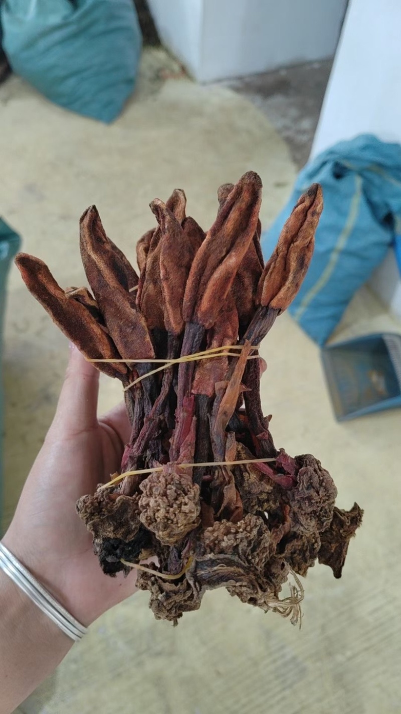 回春草，颜色好，产地直销，量大议价