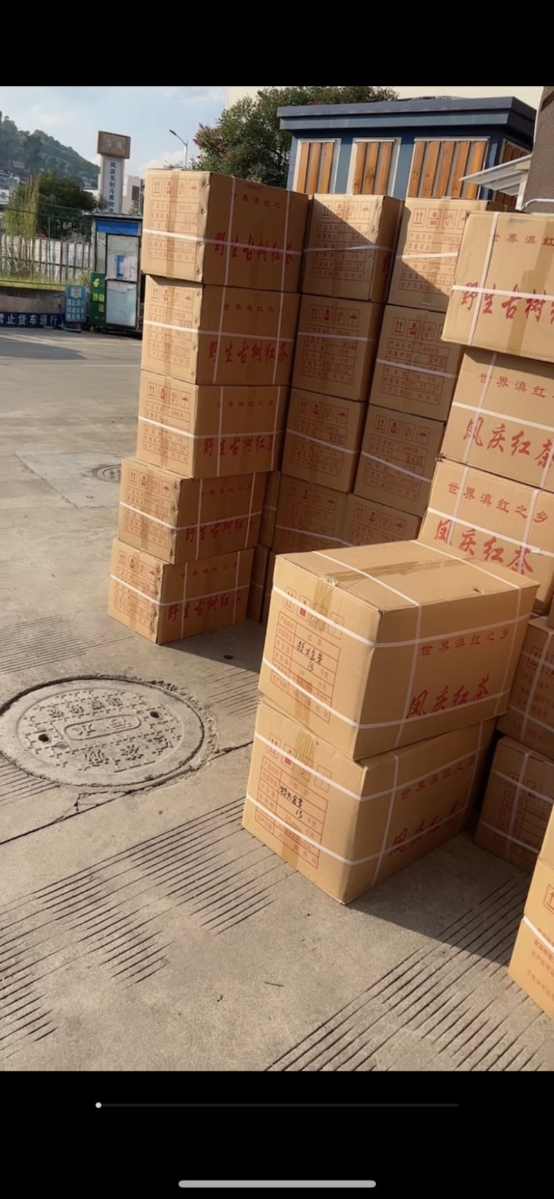 云南滇红凤庆红茶滇红金针厂地直销