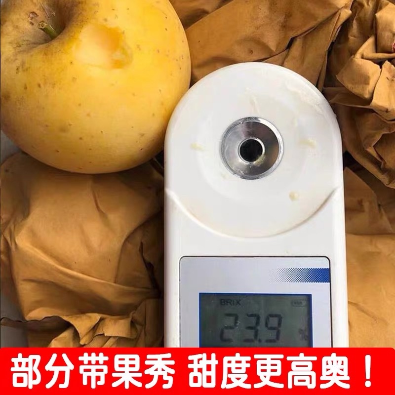 维纳斯黄金苹果