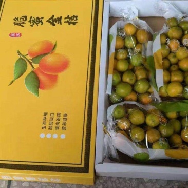 脆蜜金桔无核纯甜