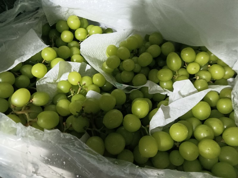 外贸阳光玫瑰冷库货青提晴王电商团购批发精品次货批发