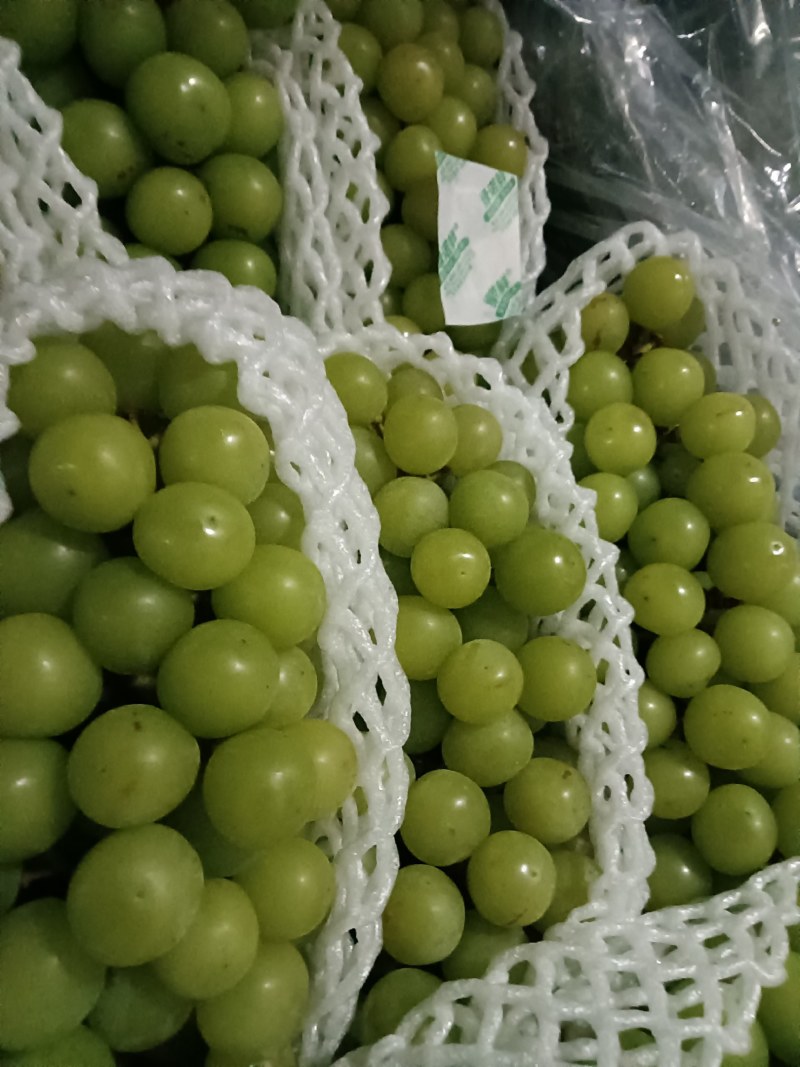 外贸阳光玫瑰冷库货青提晴王电商团购批发精品次货批发