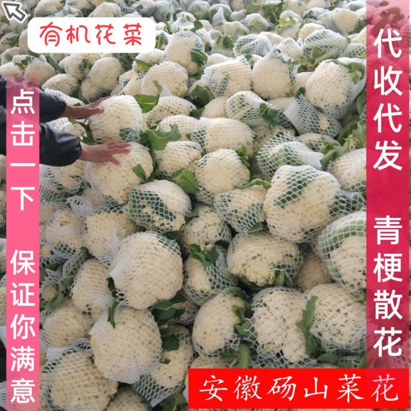 有机花菜菜花青梗散花菜小米粒花菜全国代发