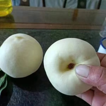 冬桃，映霜红