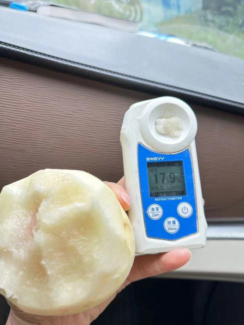 冬桃，映霜红