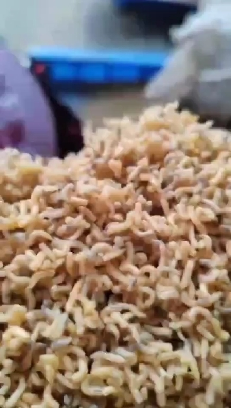 蝇蛆