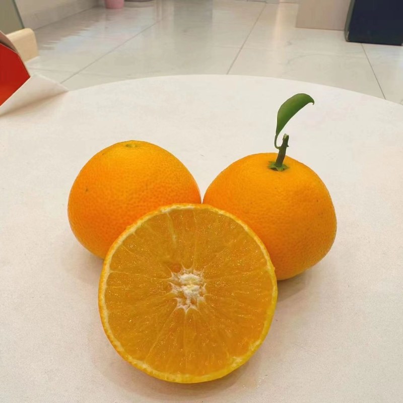 爱媛38，果农直销，价格好说量大从优