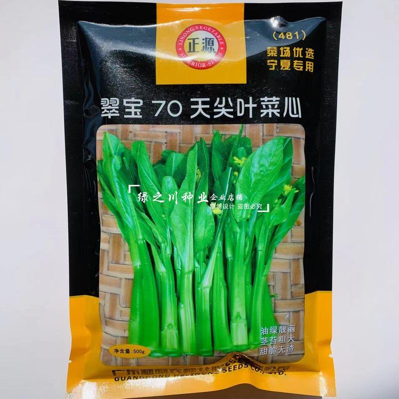 翠宝70天尖叶菜心种子苔大苔粗甜脆无渣油绿菜心种子菜苔