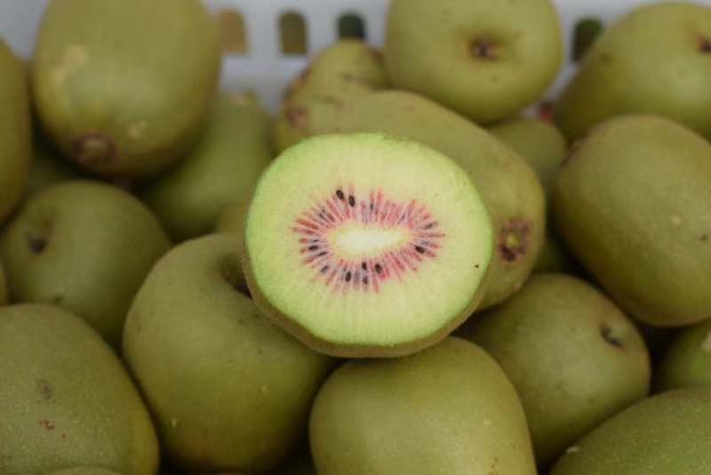 红心猕猴桃与常见水果对比图