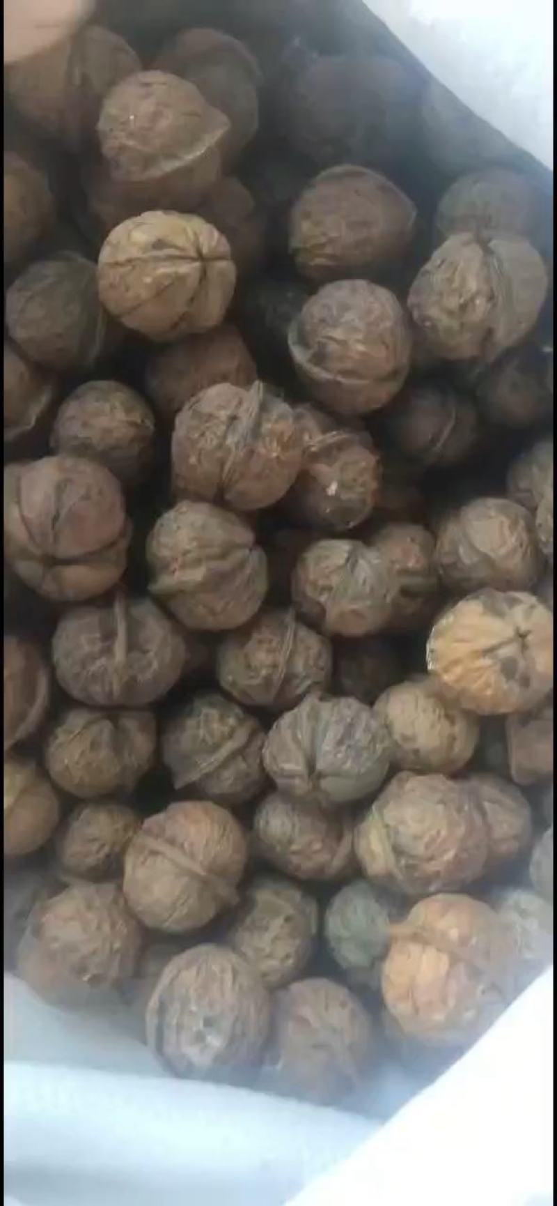 漾濞县大泡核桃甜菠萝果4..8一斤