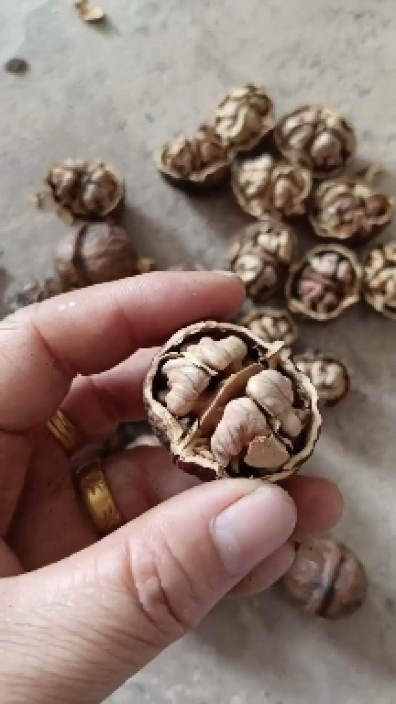 漾濞县大泡核桃甜菠萝果4..8一斤
