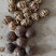 漾濞县大泡核桃甜菠萝果4..8一斤