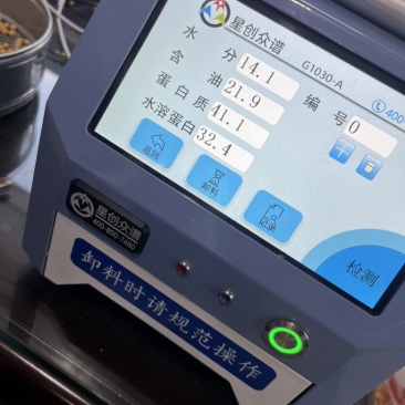 黄豆