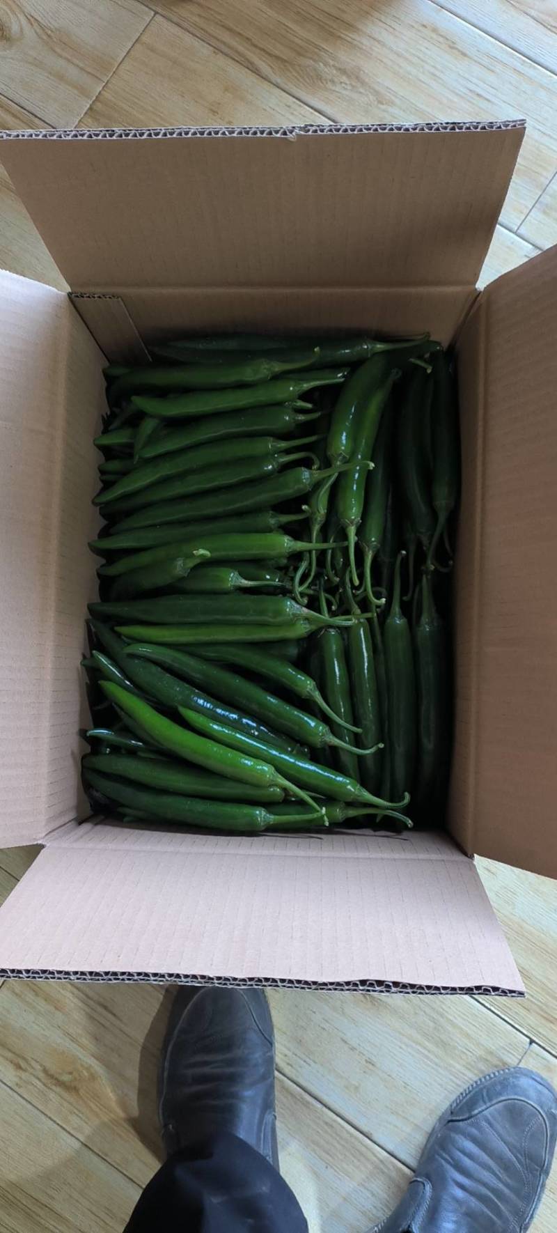 青小米椒.青美人椒，全国发货，保质保量，诚信经营，欢迎来电