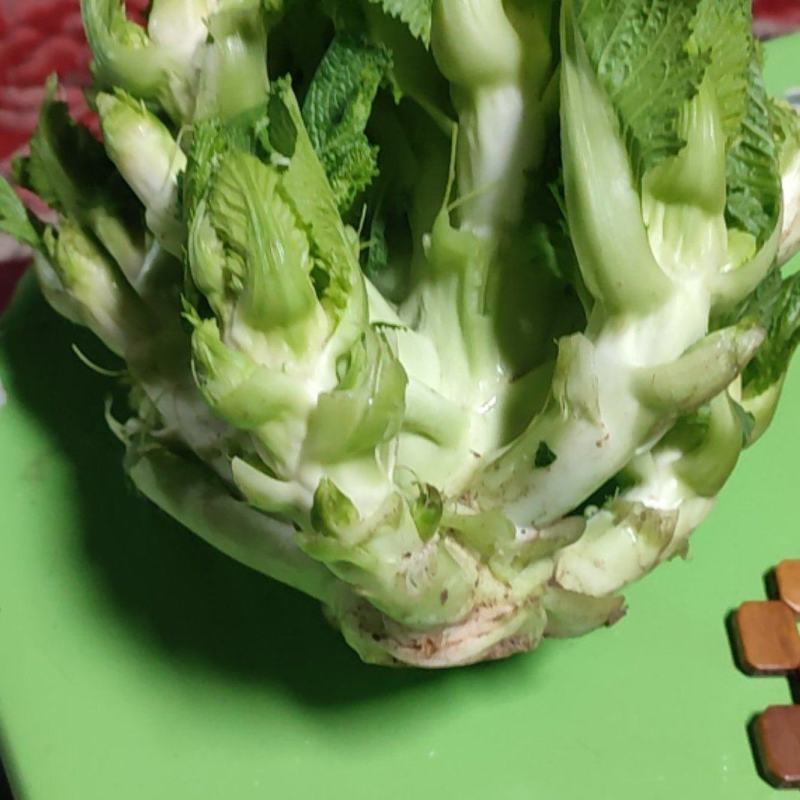 山西忻州儿菜大量上市，欢迊新老客户前来选构。