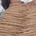 双棒通货二路三三路