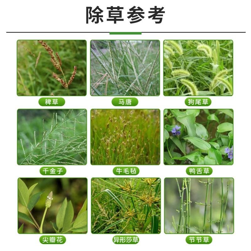 侨昌稻月月90%丁草胺芽前封闭水稻田封闭除草剂旱直播水田