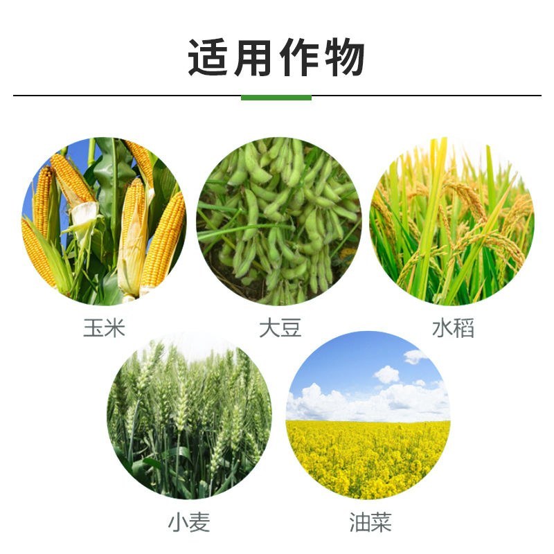 侨昌稻月月90%丁草胺芽前封闭水稻田封闭除草剂旱直播水田