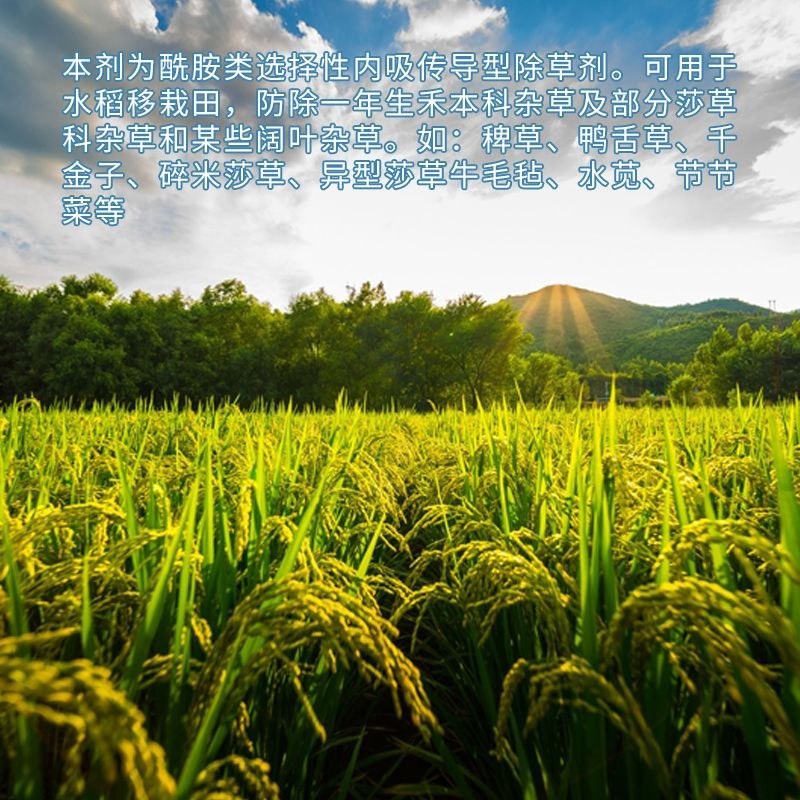 侨昌稻月月90%丁草胺芽前封闭水稻田封闭除草剂旱直播水田