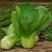 【油菜】大量上市了价格优惠品质保证货源充足。