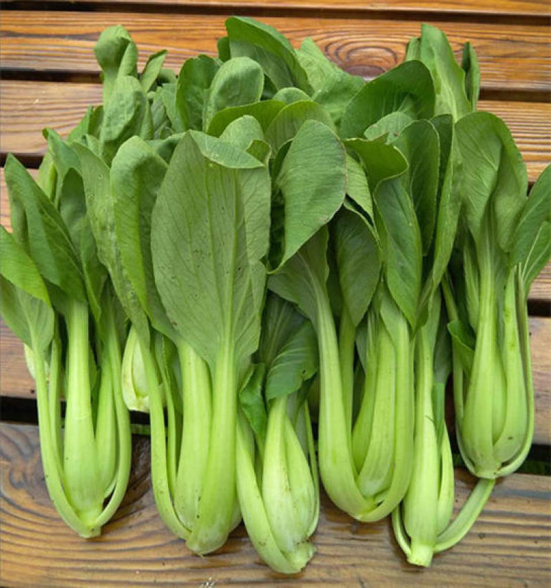 【油菜】大量上市了价格优惠品质保证货源充足。