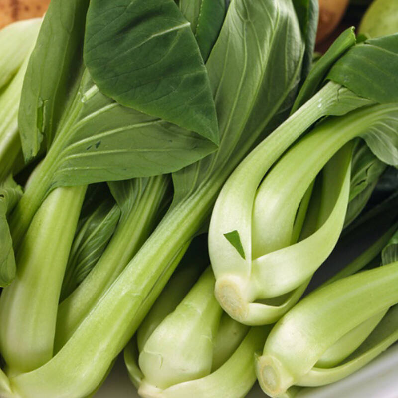【油菜】大量上市了价格优惠品质保证货源充足。