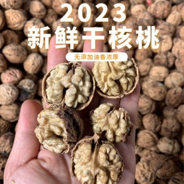 【特价】2023云南薄皮核桃野生老核桃纸皮核桃丑核桃