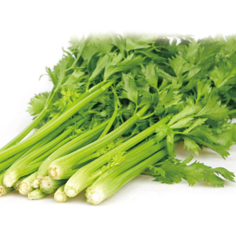 【芹菜】大量上市价格优惠品质保证货源充足量大优